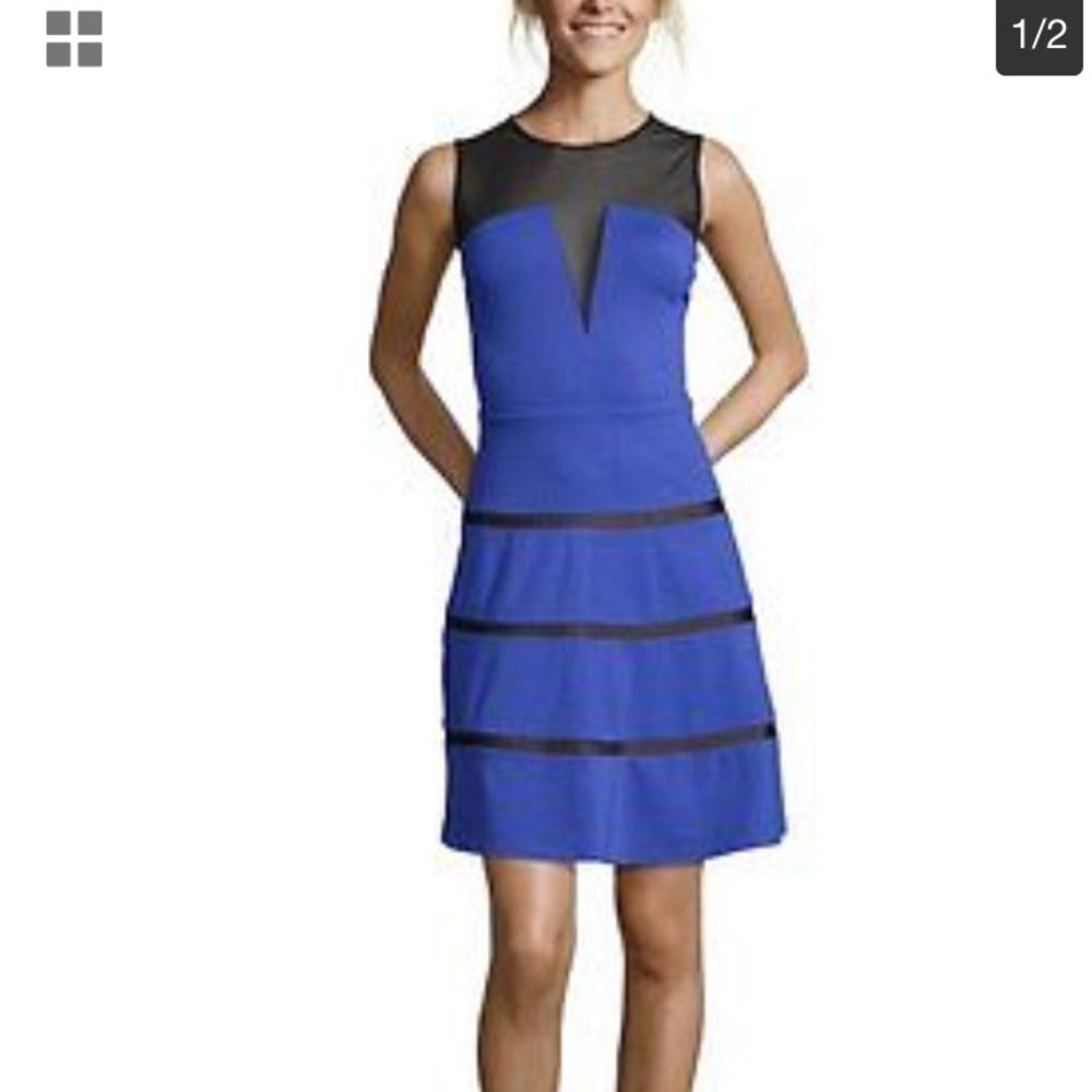 ERIN FETHERSTON Blue And Black Mesh Party Dress